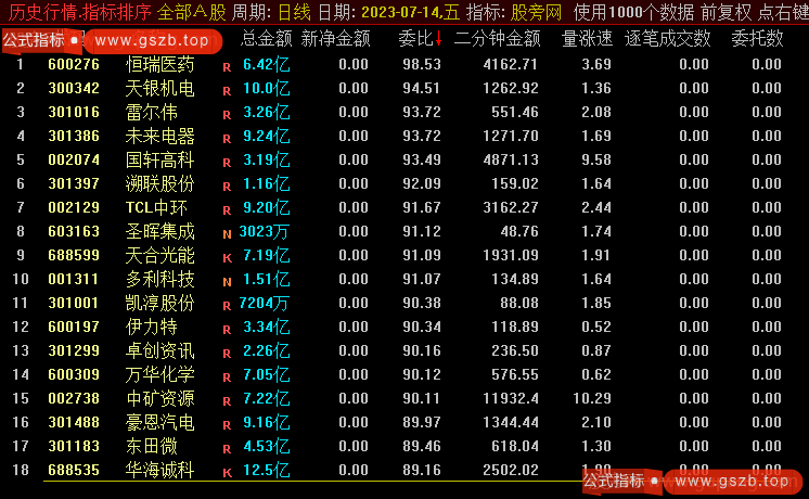 通达信净金额排序指标公式